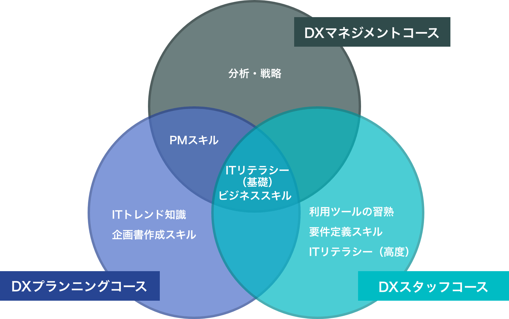 DXマネジメントコース / DXスタッフコース / DXプランニングコース